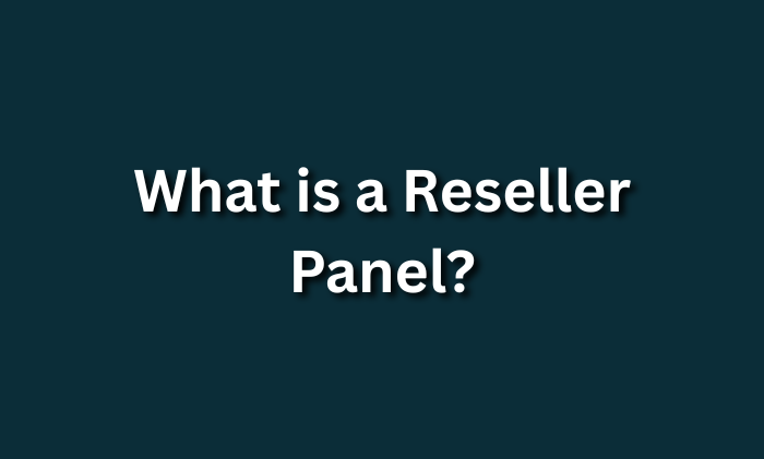 What is a Reseller Panel?